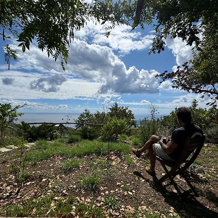Groove'N'Grove Bed & Breakfast Sant'Agata sui due Golfi Luaran gambar