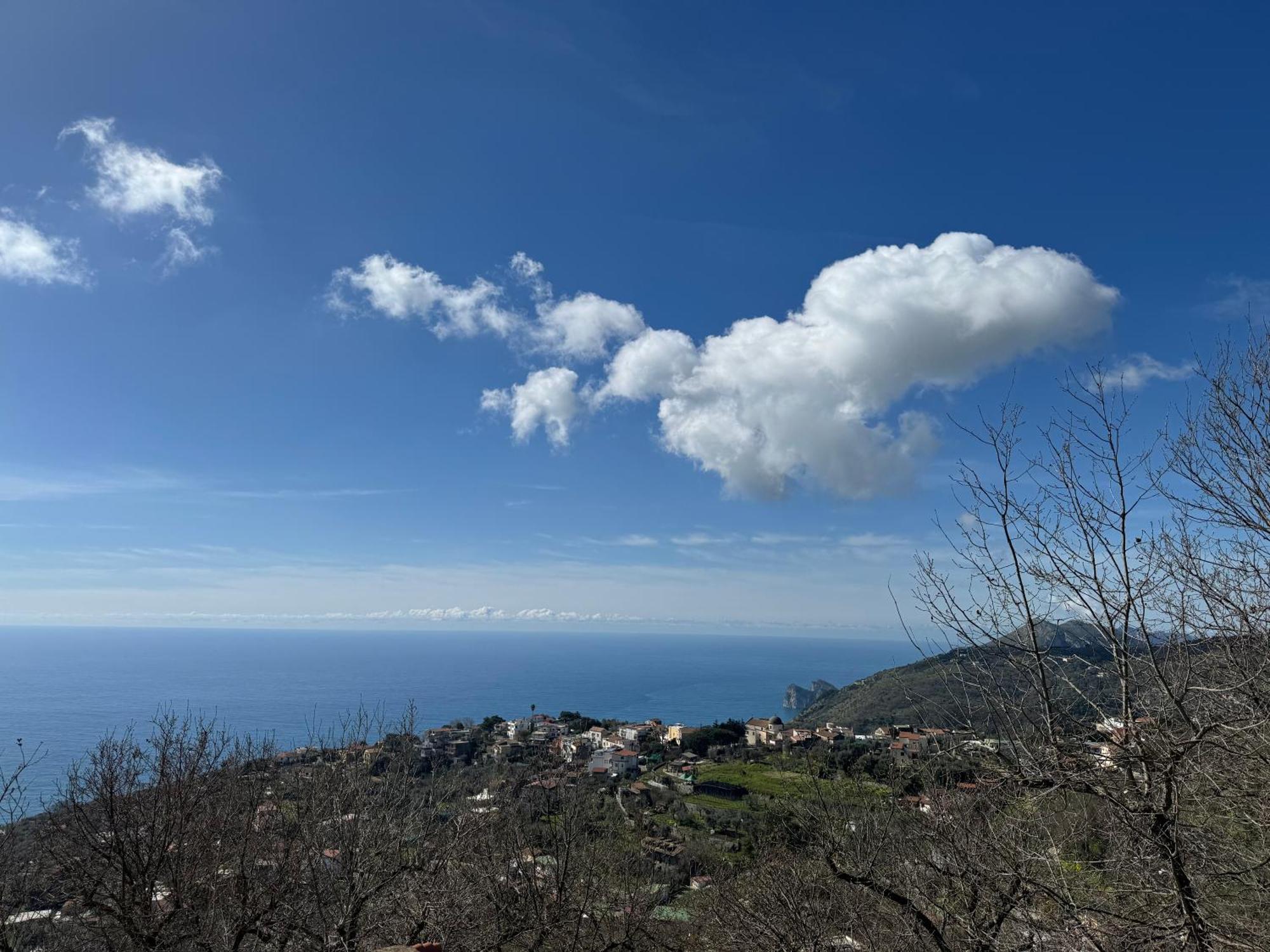 Groove'N'Grove Bed & Breakfast Sant'Agata sui due Golfi Luaran gambar