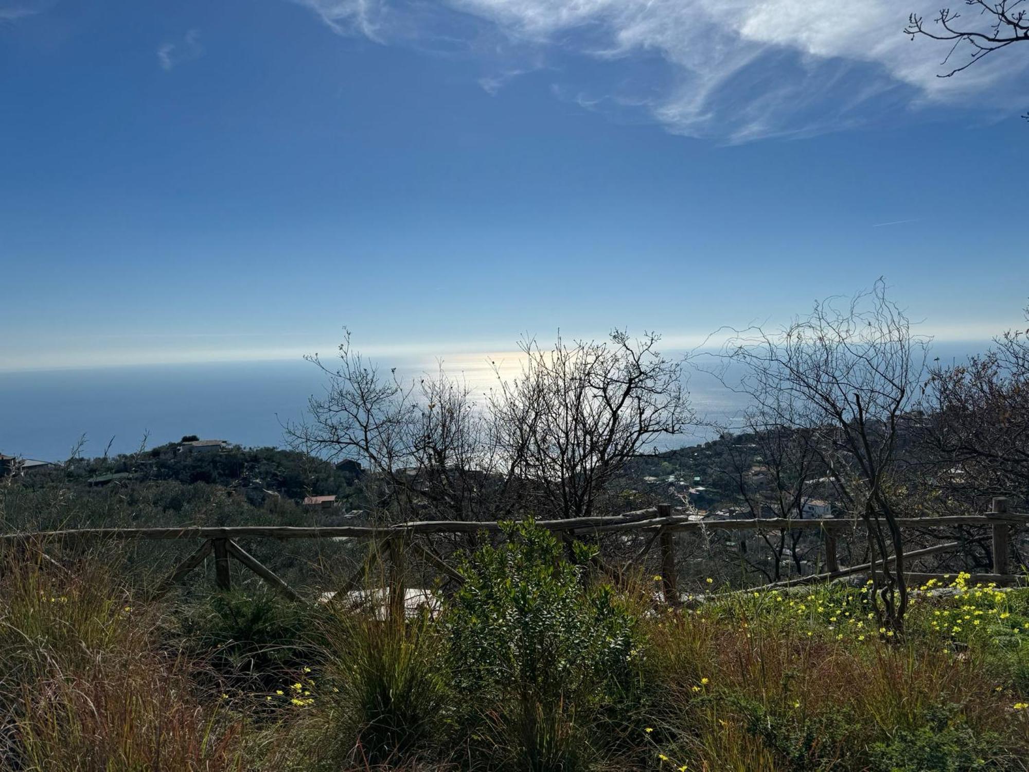 Groove'N'Grove Bed & Breakfast Sant'Agata sui due Golfi Luaran gambar